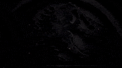 jurassic world film GIF by Mediaset España