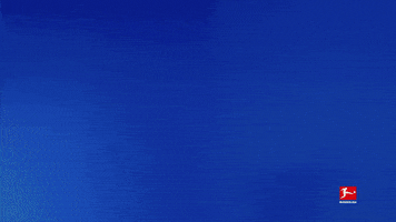 Tsg Hoffenheim Football GIF by Bundesliga