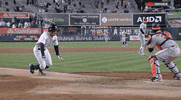 New York Yankees Baseball GIF by Jomboy Media