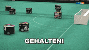 sport GIF by Mitteldeutscher Rundfunk