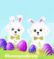 Dogs Easter GIF by HammyandBrody