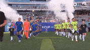 Walk-Out GIF by Football Australia