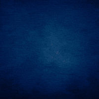 United Usa GIF by SystemicAltruism