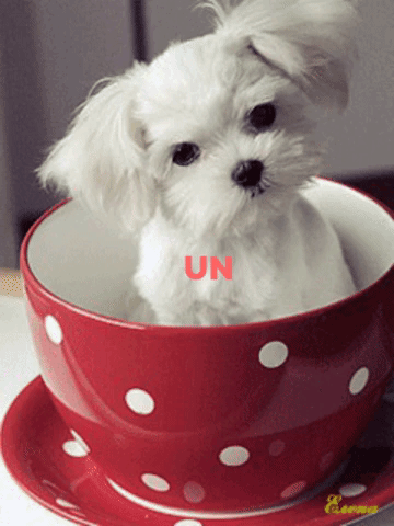 besito GIF