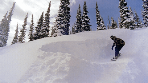Snow Snowboarding GIF by The North Face