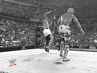 wwe sports wwe wrestling summerslam GIF