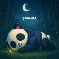 Good Night Stars GIF by PandaMania