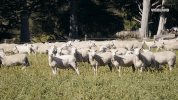 viceland GIF by Dead Set on Life