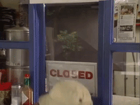 salute your shorts nicksplat GIF