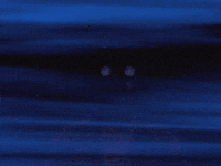 Eyes Bear GIF by Dayglow