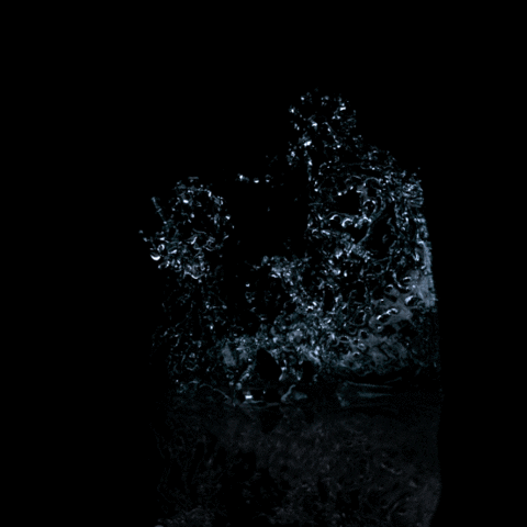 GIF by CoffeeLab