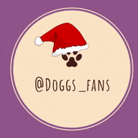 Doggsfans dog chien dogsfans dogfan GIF