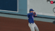 Celebrate Chicago Cubs GIF by MLB