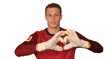 Home Swipe Up Sticker by Hertha BSC