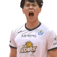 Go Wild Stars Sticker by kovopr