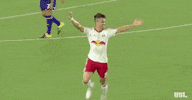celebration GIF by NYRB II