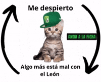 Club Leon GIF