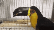3d printer eating GIF by PRI