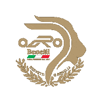 Gold Lion Sticker by Leupimoto