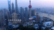 shang hai GIF