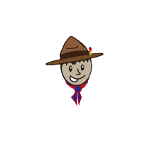 45 Jaar Sticker by Scouts 't Hoekske