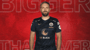Hansa Rostock Vbl GIF by Bundesliga