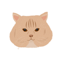 Cat Meow Sticker