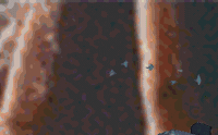 GIF by Josh Rigling