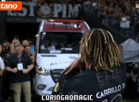 Santos Fc Futebol GIF