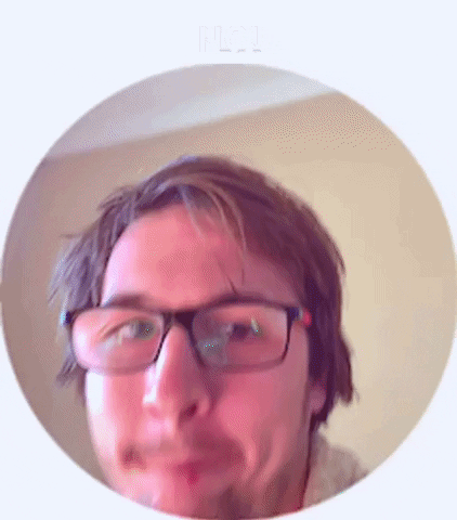 hanshaupt giphygifmaker no bitch hellno GIF