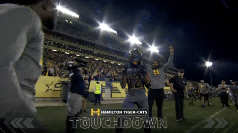 Tiger-Cats Touchdown GIF by Hamilton Sports Group