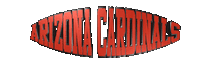 Arizona Cardinals Football Sticker by GIPHY Text