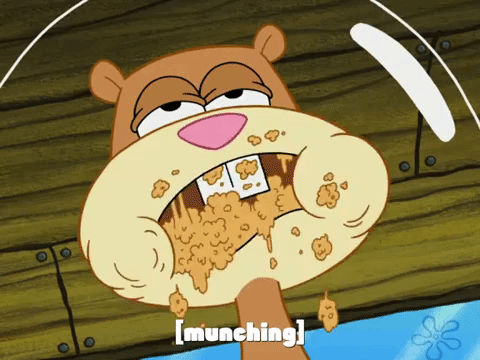 season 7 episode 3 GIF by SpongeBob SquarePants