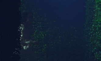 Stay Soft GIF by Mitski