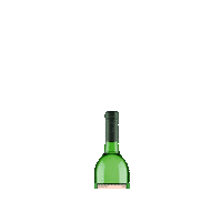 delmagueymezcal del maguey my copita stigibeu sip it dont shoot it Sticker
