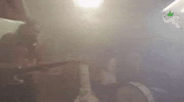 white fang GIF by Burger Records