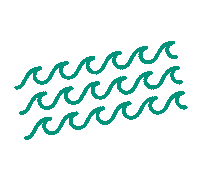 Summer Water Sticker by pacoon strategy + design