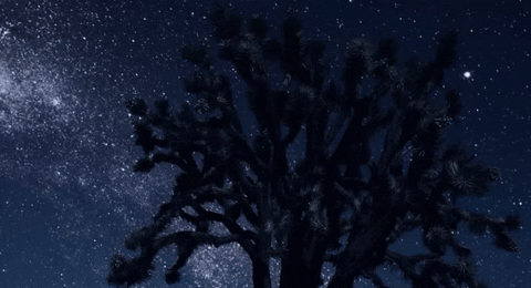 mom and pop music GIF by Jagwar Ma