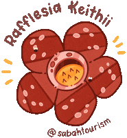 Kota Kinabalu Travel Sticker by sabahtourism