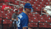 Blue Jays Baseball GIF by Toronto Blue Jays
