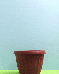 Flower Paint GIF by cintascotch