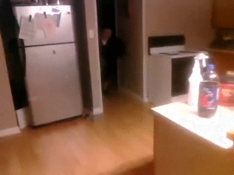 stampede GIF