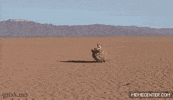 Dog Running GIF