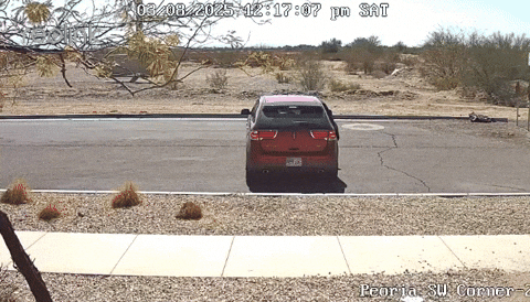 Insight_video giphyupload GIF