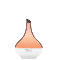 VintariOficial orange natural meditation balance Sticker