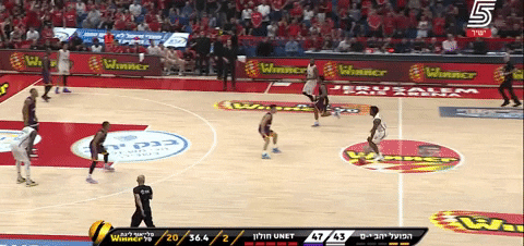 sportsrabbi giphyupload GIF