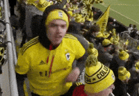 Vamos Lets Go GIF by Major League Soccer