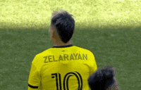Columbus Crew Football GIF by Major League Soccer
