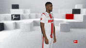 Posing Line Up GIF by Bundesliga