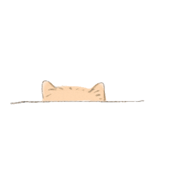 Cat Sticker